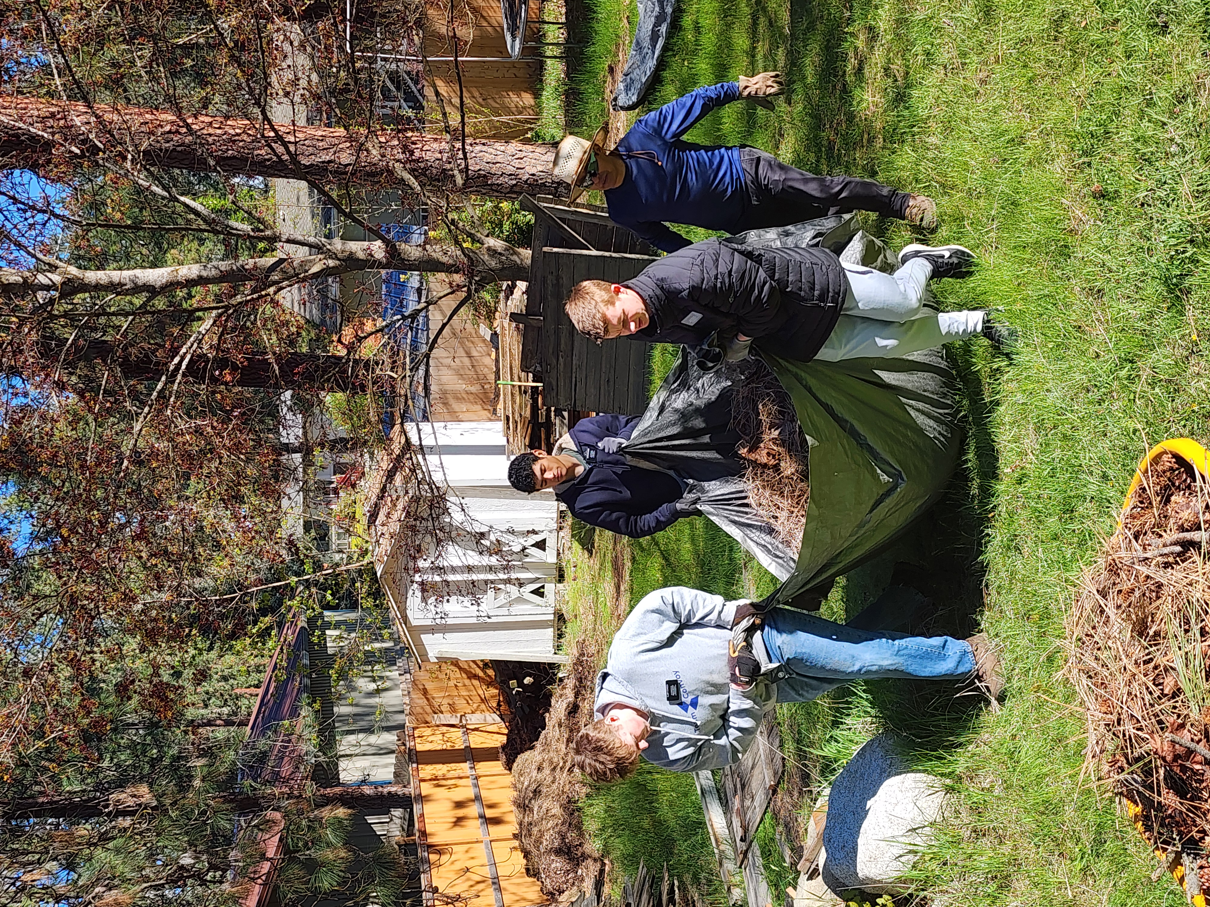 Service project image