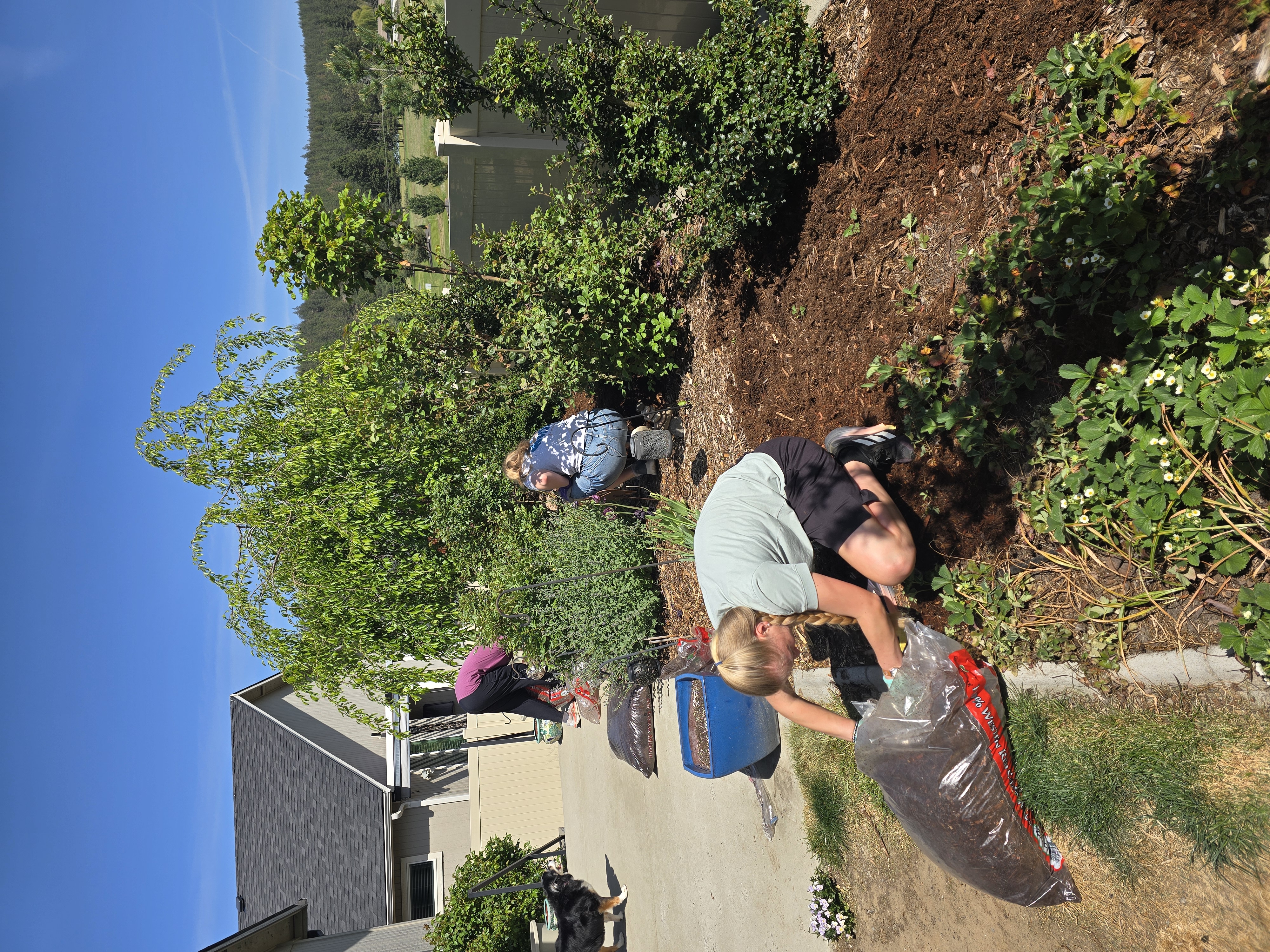 Service project image