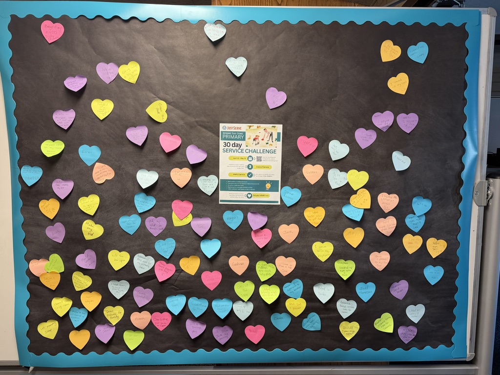 Service project image