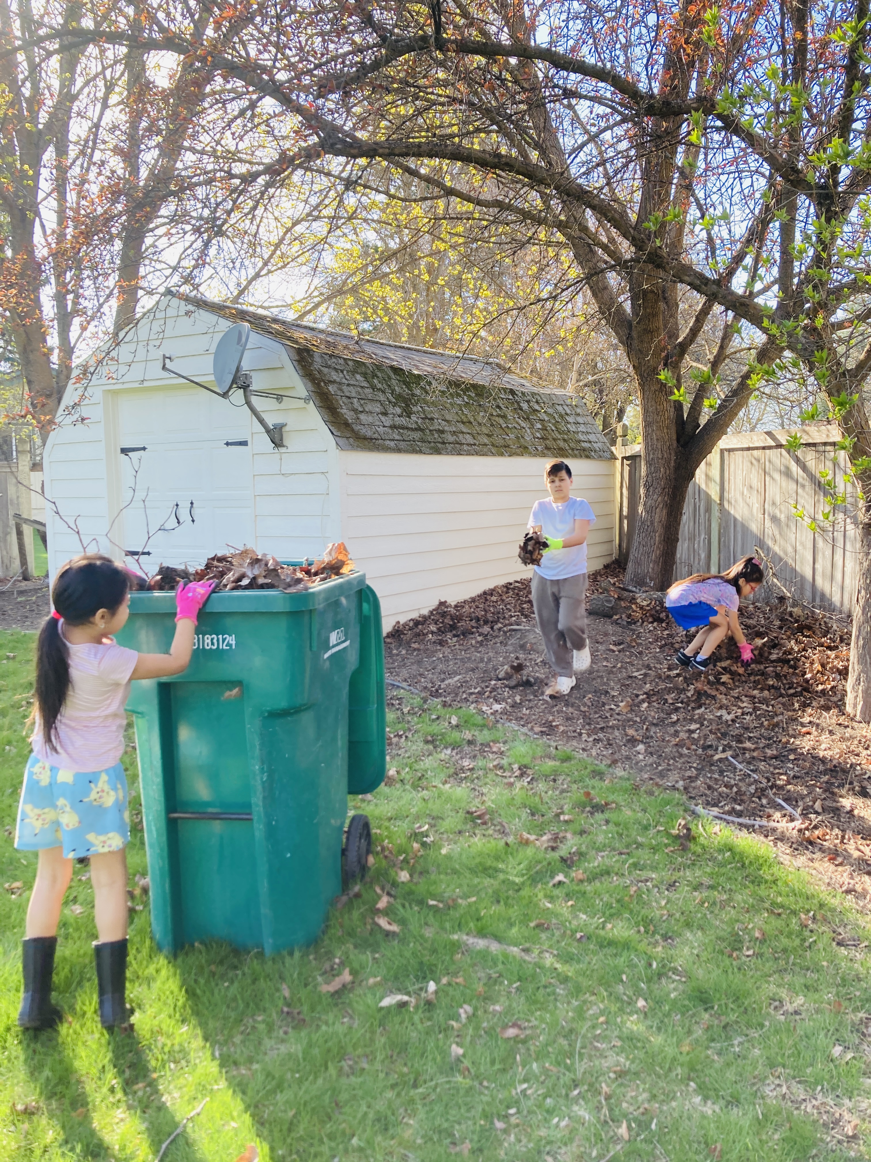 Service project image