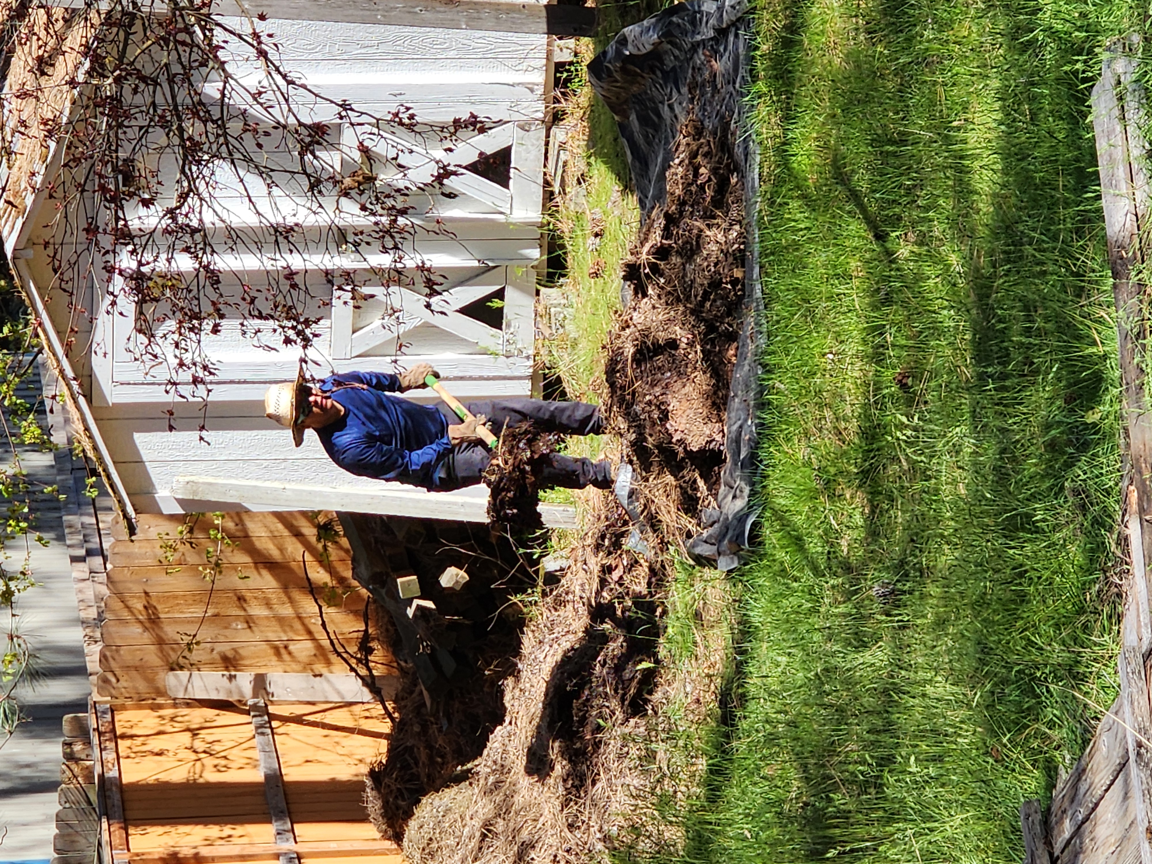 Service project image