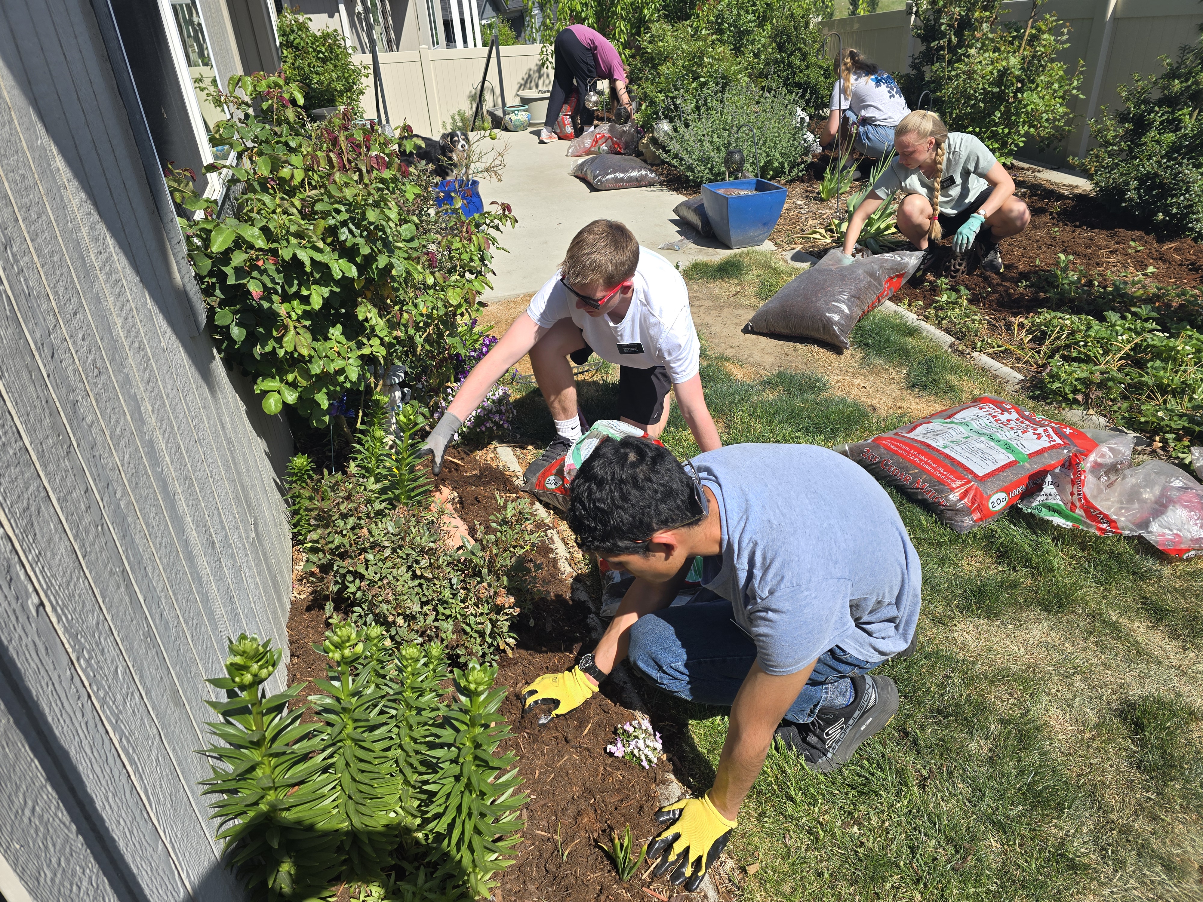 Service project image