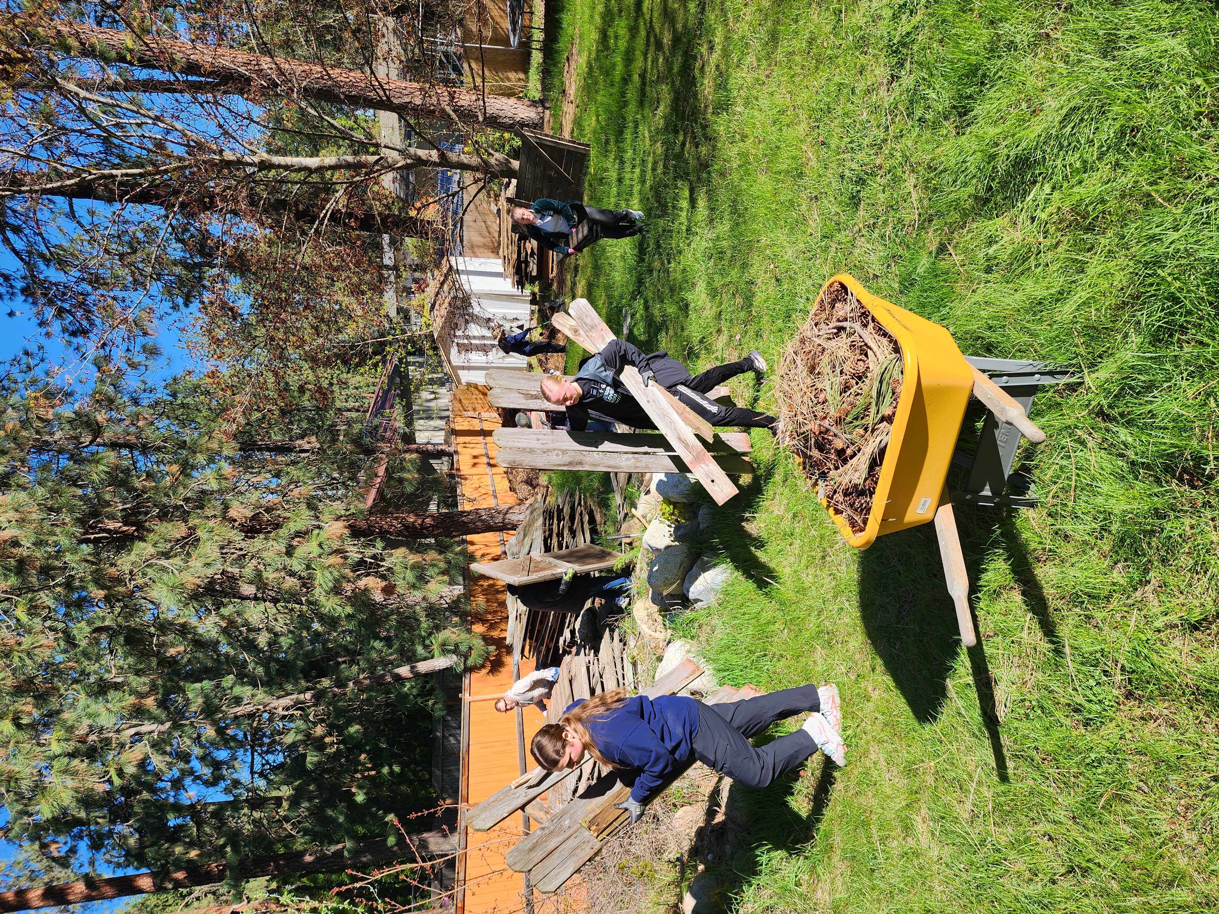 Service project image