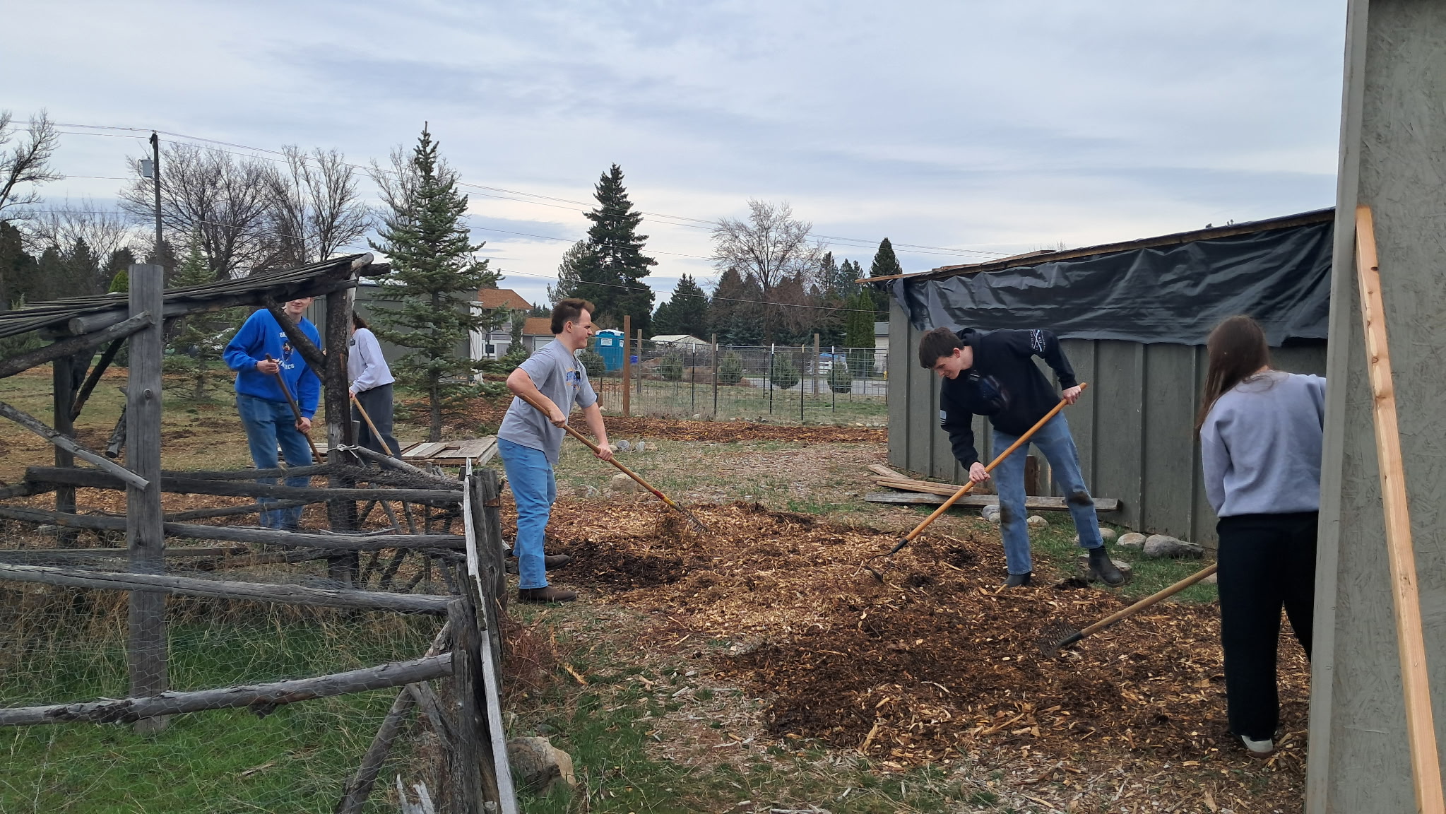 Service project image