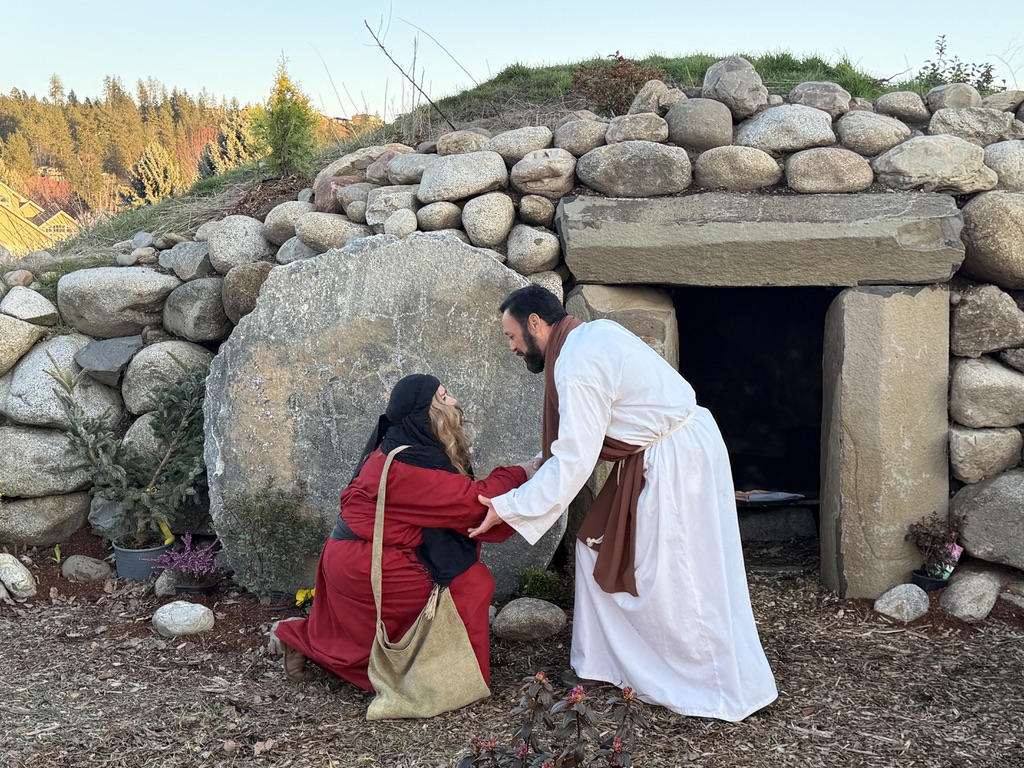 Service project image